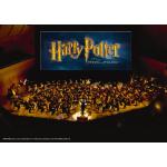 13-12-2016 - franzgrosse - Harry Potter.jpg